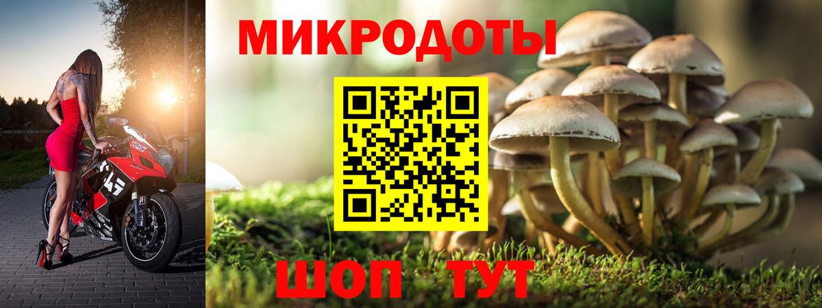 Псилоцибиновые грибы MAGIC MUSHROOMS  Вход с VPN  Заволжье 