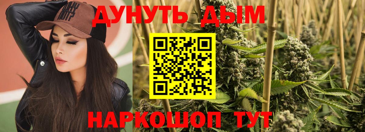 Конопля гибрид  Вход с VPN  Конопля MAZAR  Заволжье  Каннабис OG Kush 